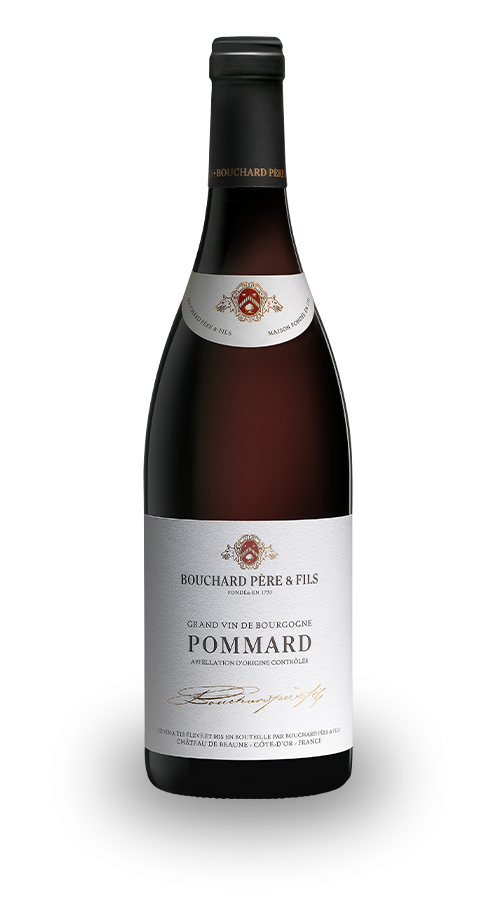 Wine red Carton de 3 bouteille de Pommard 2017 Bouchard Père et