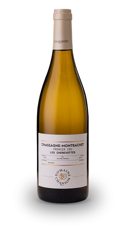 Wine white Chassagne Montrachet Chenevottes Domaine Chanson
