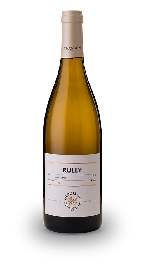 Wine white La bouteille de Rully Blanc 2023 Chanson