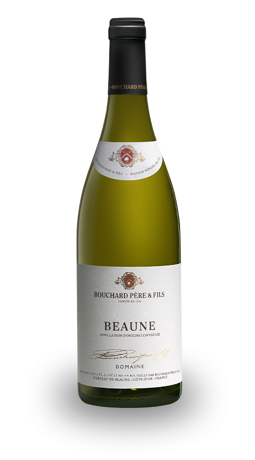 Wine white Carton de 3 bouteilles de Beaune blanc 2022 Bouchard