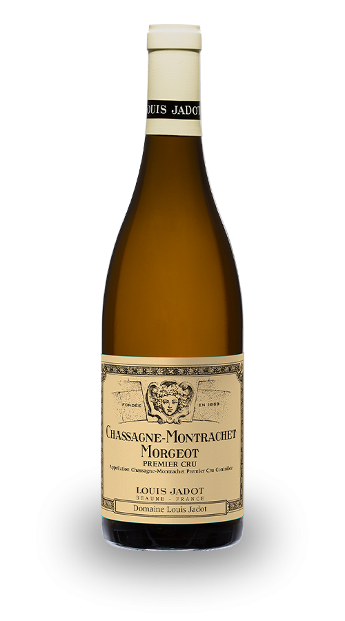white Wine Chassagne Montrachet Morgeot Louis Jadot 2020