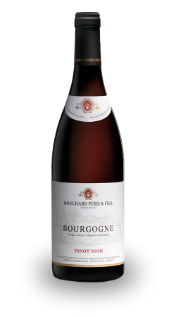 Wine red Bourgogne Pinot Noir Bouchard Père et Fils